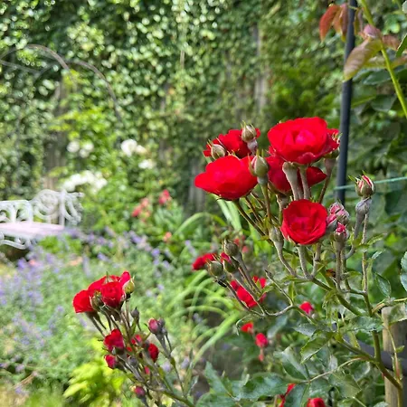 Rezydencja Grawert Boutique & Spa 4*