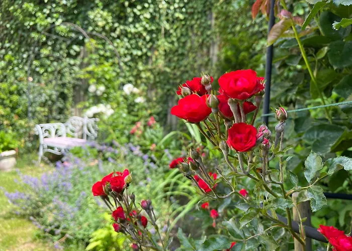 Rezydencja Grawert Boutique & Spa 4*